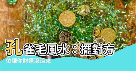 孔雀羽毛招桃花|【孔雀毛風水】【孔雀毛風水大公開】擺錯位置招不來。